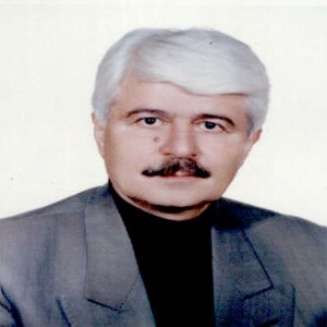 Mohammad Heidari Tabrizi